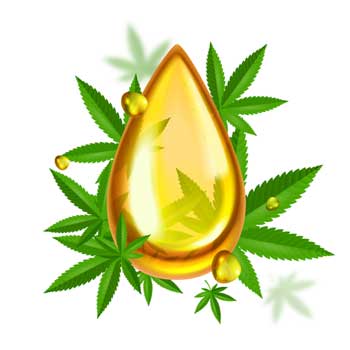 Harmony Hive Hemp Drop